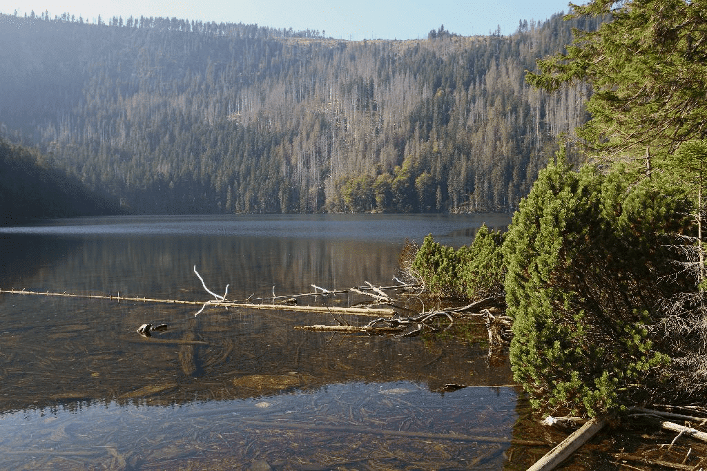 Černé jezero - foto Š Rosenkranz