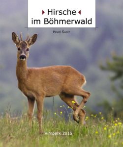 Hirsche_im_Bohmerwald