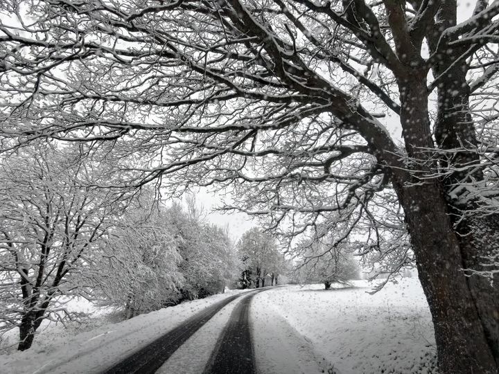 dubnový sníh pokryl Šumavu