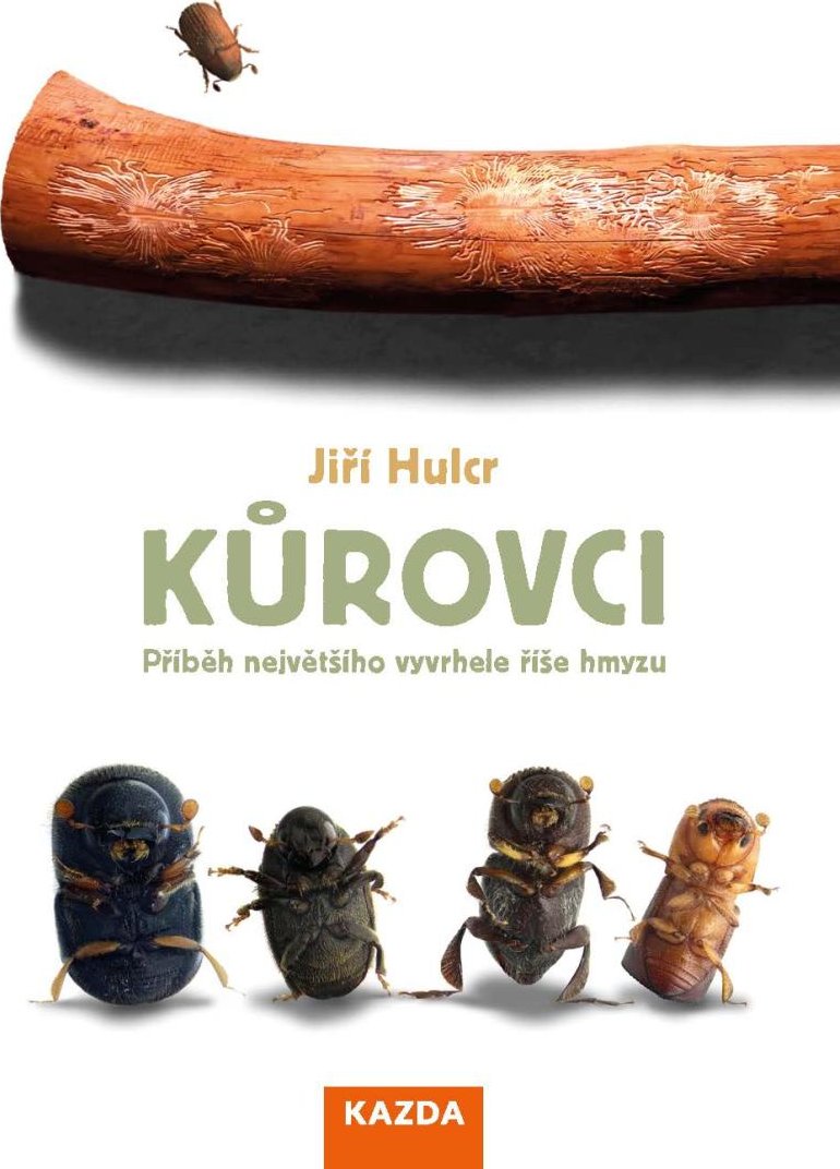 Obálka knihy J.Hulcra Kůrovci