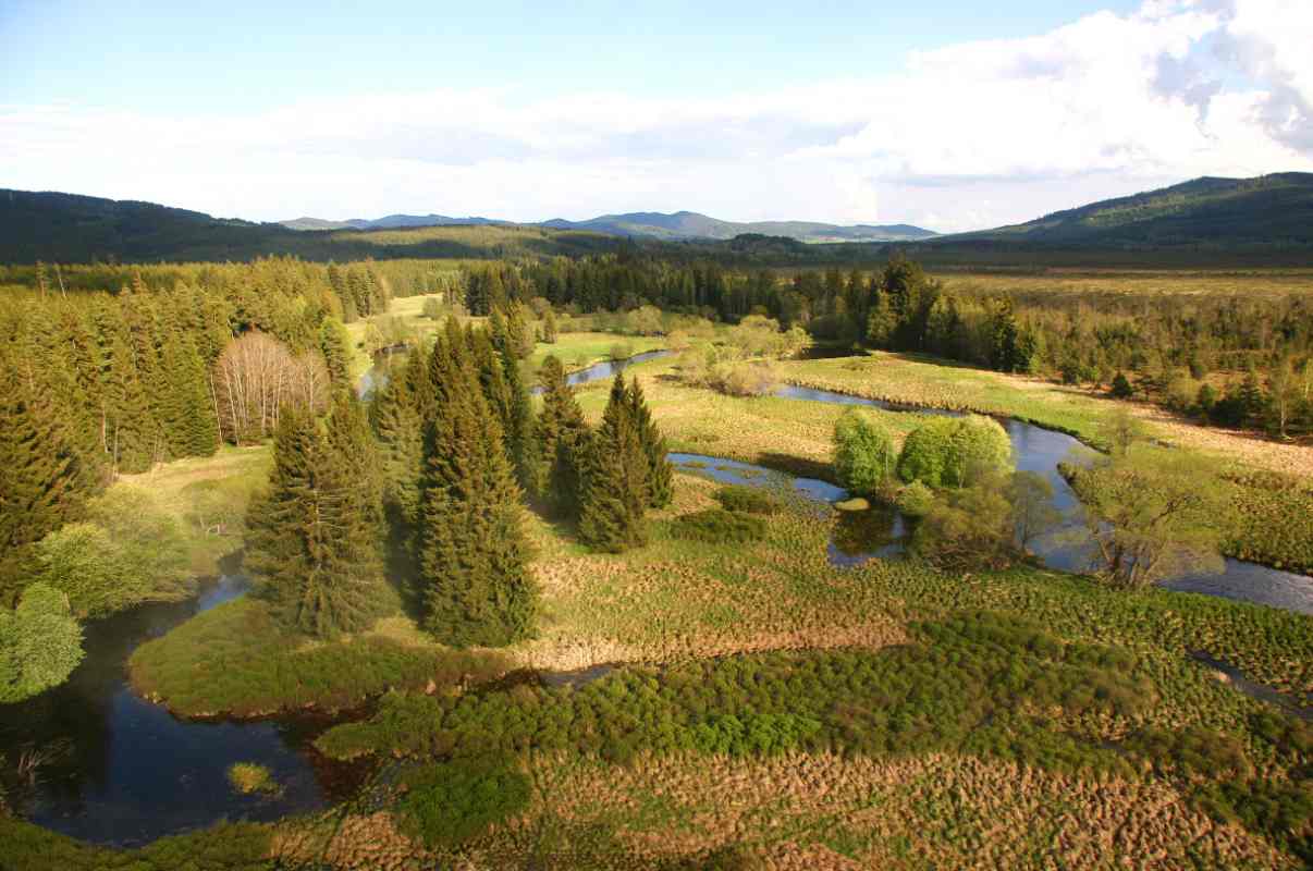 Letecký snímek Teplé Vltavy. Meandry řeky se klikatí mezi stromy a loukami