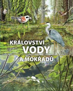 Ilustrovaná obálka knihy „Království vody a mokřadů“ se scénou lesního mokřadu s volavkou popelavou a moudivláčkem lužním sedícím na větvi nad tůní, doplněná o vážku a další vodní vegetaci, v dolní části s podvodním pohledem na listy leknínů a logem Národního parku Šumava uprostřed.
