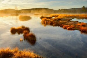 Chalupská slať v mlžném oparu, po ploše plují ostrůvky trávy