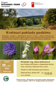 Kvetouci poklady podzimu 19_09