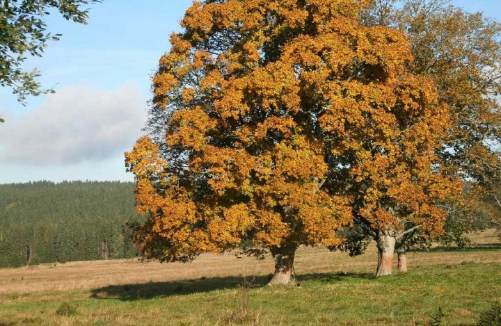 bývalá-Stará-Huť-PHubeny