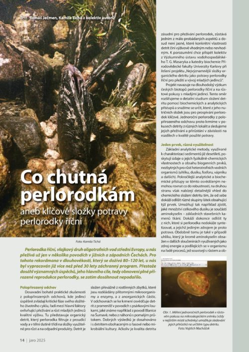 Stránka časopisu Šumava s tématem perlorodky říční