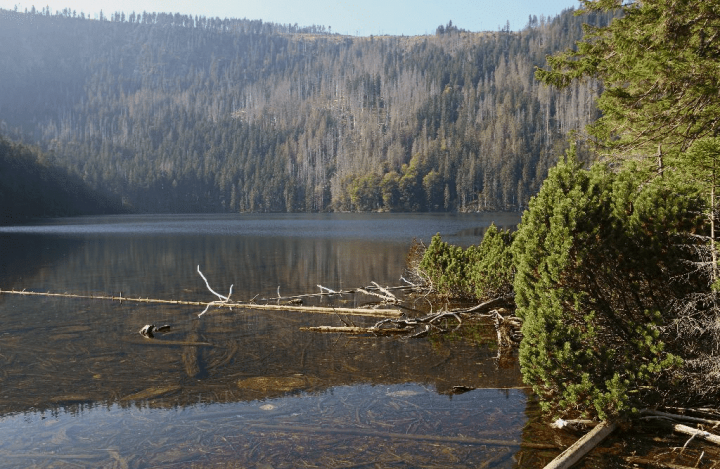 Černé jezero - foto Š Rosenkranz