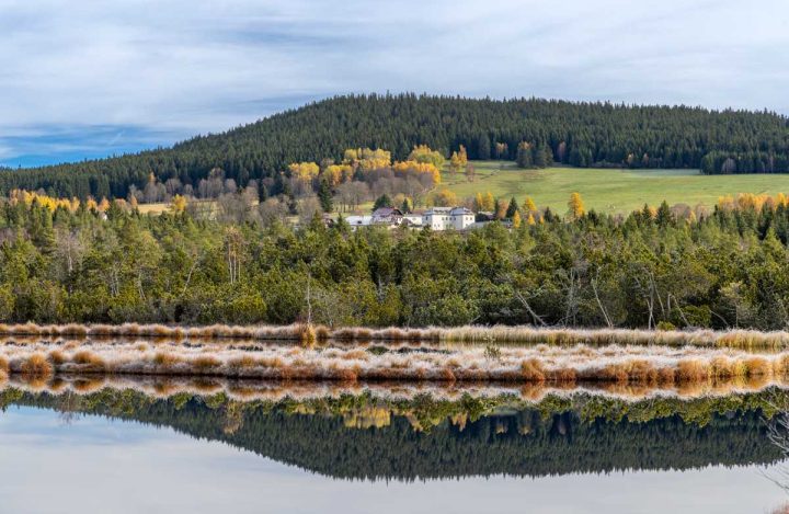 Chalupská slať odraz okolní krajiny ve vodě jezírka