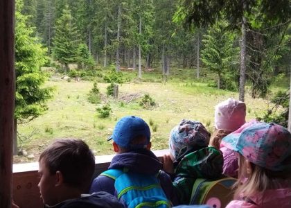 Na vylete za zviratky