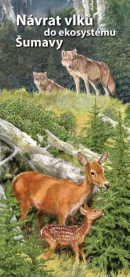 navrat vlku_CE