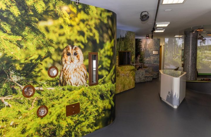 nova expozice IS Kvilda 02