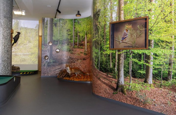 nova expozice IS Kvilda 06