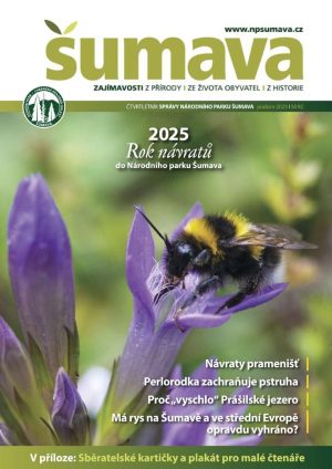 Na obálce časopisu Šumava podzim 2025 je vidět detail čmeláka na květu hořečku mnohotvarého českého.
