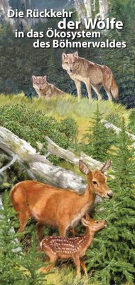 ruckkehr der wolfe_DE