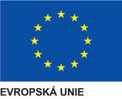 Vlajka Evropské unie_CZ