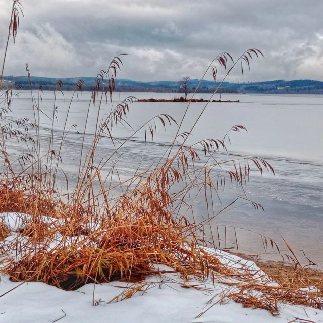 💦 Kyselov, Lipno
Foto: Š.Rosenkranz
.
.
.
#np_sumava #sumava #lipno #zimanasumave  #fotazesumavy #adventnasumave #zima