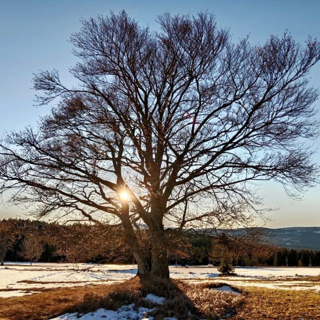 Slunce nakukuje, jestli už máte napečeno. 🌞
Máte? A můžeme to vidět? 😁
.
Zhůří u Horské Kvildy
Foto: Š.Rosenkranz
.
.
.
#sumava #zimanasumave #zimnislunce #fotimeprirodu #fotkyzesumavy #fotimecesko  #zhuri #zanikleobce #zaniklevesnice