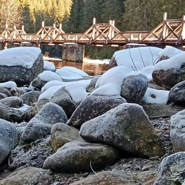 Hradlový most - rechle u Modravy 🌁
Přibližně v polovině cesty mezi Modravou a Antýglem najdete tento začátek Vchynicko-tetovského plavebního kanálu. 💦 Projektantem a stavitelem původního mostu byl inženýr Josef Rosenauer. 👍
Víte, do kterého roku po mostě jezdila i auta? 
a/ 1920
b/ 1953
c/ 1987
.
Foto: Š.Rosenkranz
.
.
.
#sumava # np_sumava #rechle #modrava #antygl #josefrosenauer #vchynickotetovskykanal #vyletyposumave #tipnavylet