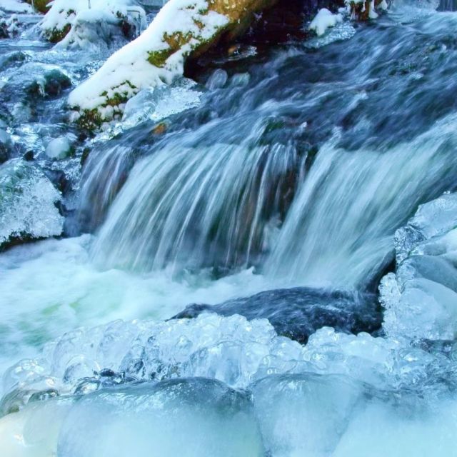 💦 Pravětínský potok ➡️ Volyňka ➡️ Otava ➡️ Vltava 🩵
.
Foto: B.Kantor
.
.
.
#sumava #podhurisumavy #zimanasumave #sumavsko #zima #potoky #zamrzlijsme #voda #vodanasumave #fotimesumavu #fotkyzesumavy #kouzelnamista #vylety #vyletyposumave