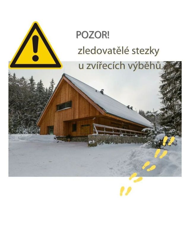 ❗ Prosíme návštěvníky o mimořádnou opatrnost při pohybu na stezkách mezi budovami návštěvnických center a zvířecími výběhy. 🐾
Cesty jsou velmi zledovatělé.🤕
Děkujeme 🩵
.
.
.
#sumava #np_sumava #narodniparksumava #vystraha #ledovka #pozor #pozornaledovku #navstevnickecentrumsrni #navstevnickecentrumkvilda #srni #kvilda #fotazesumavy #zvirecivybehy #vlk #rys #jelen