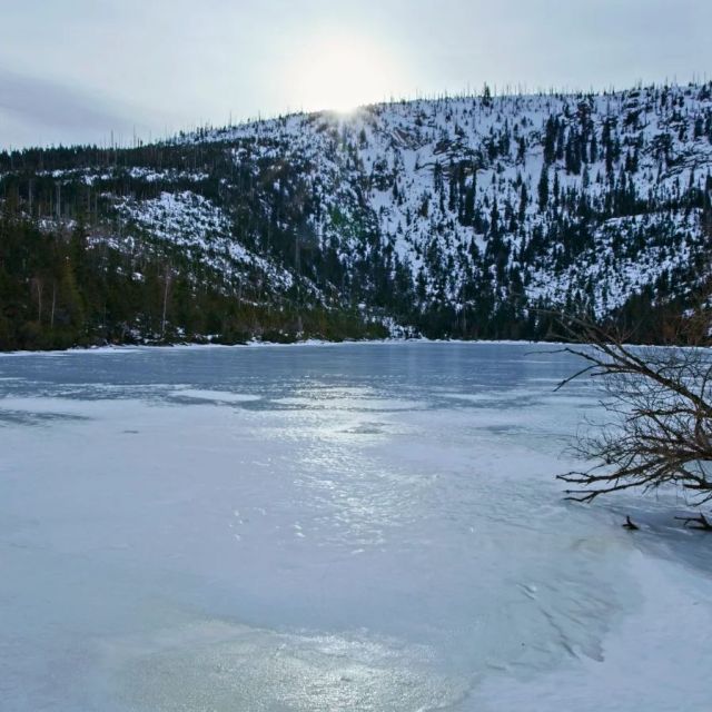 🌬️ Plešné jezero je v těchto dnech také zamrzlé.
🙂 Všichni ale samozřejmě víme, že jako kluziště jej nejde v žádném případě využít. 👍
Šumavská ledovcová jezera jsou přírodním unikátem a jejich ochrana úkolem pro současné i budoucí generace. 🩵
.
Foto: B.Kantor
.
.
.
#sumava #np_sumava #plesnejezero #sumavskajezera #vodanasumave #vyletyposumave #fotkyzesumavy #zimanasumave #unikatnimista #sumavskeunikaty #ochranaprirody #ledovcovajezera #kamnavylet